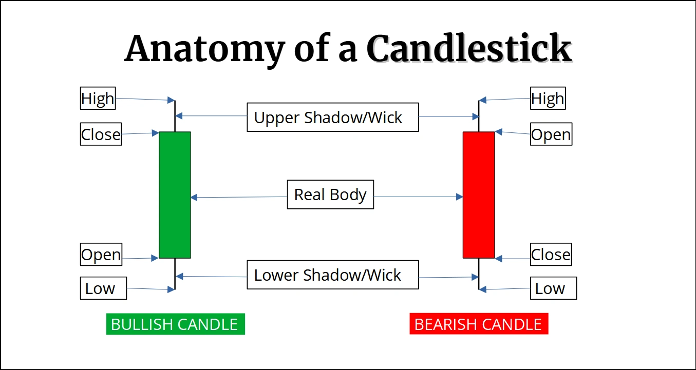 Anatomy of candlestick.webp